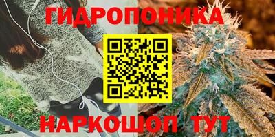 индика Рязань