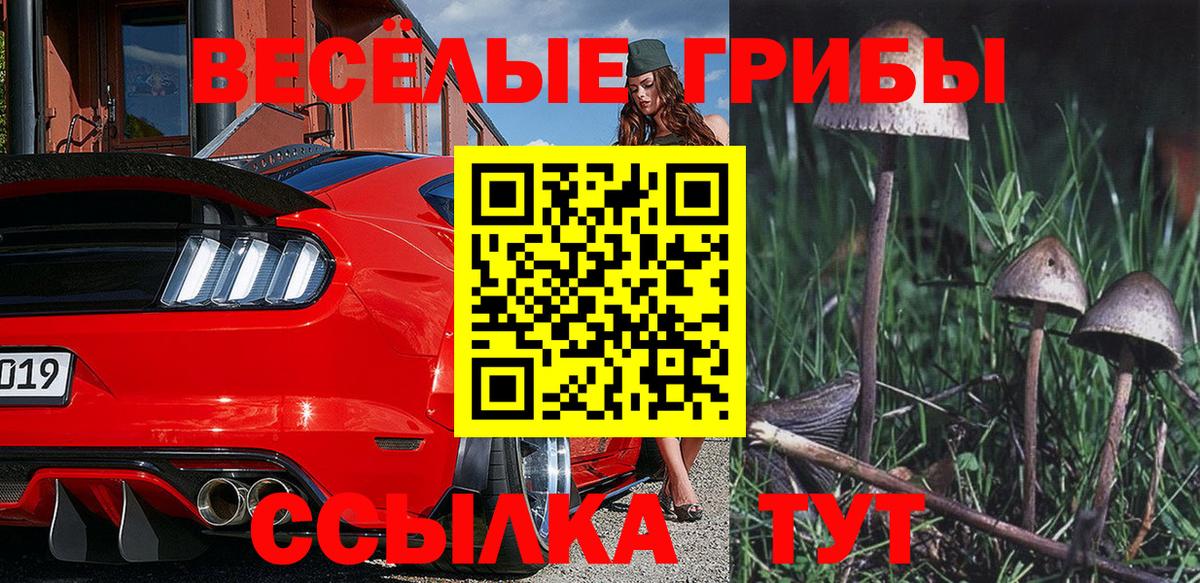Псилоцибиновые грибы Magic Shrooms  Вход с VPN  Псилоцибиновые грибы мицелий  Азнакаево 