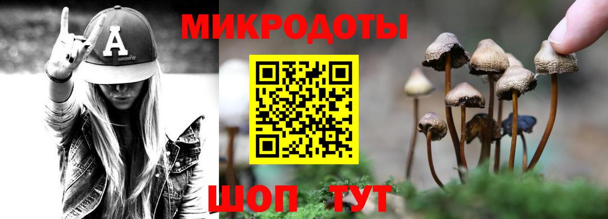 Галлюциногенные грибы мухоморы Азнакаево